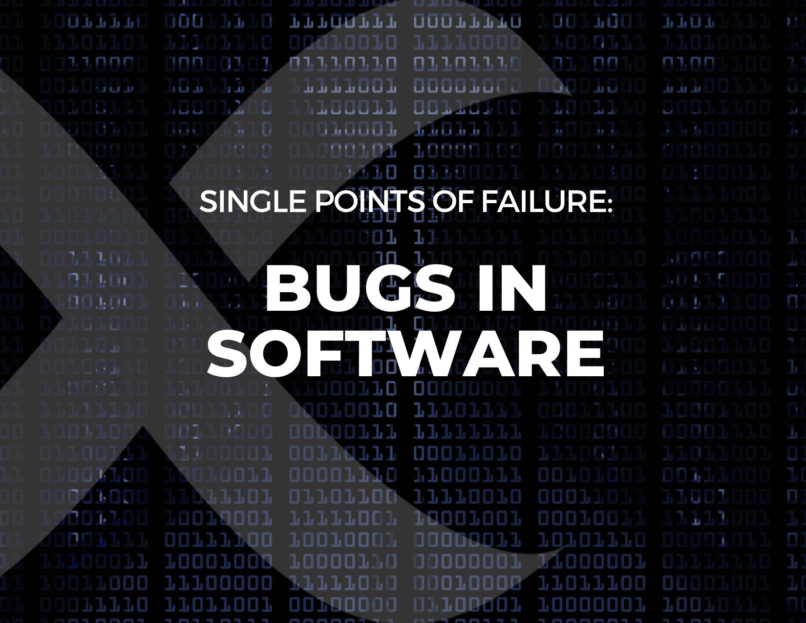 bugs in software