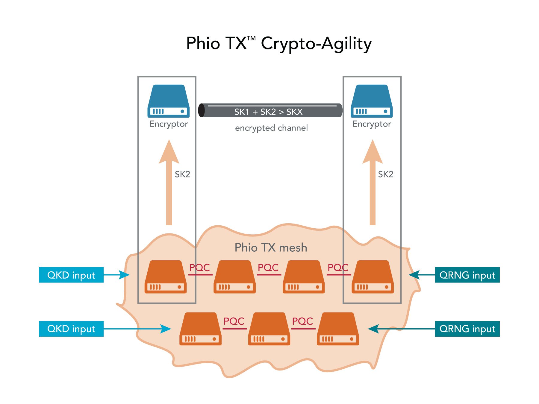 Phio TX Crypto-agility