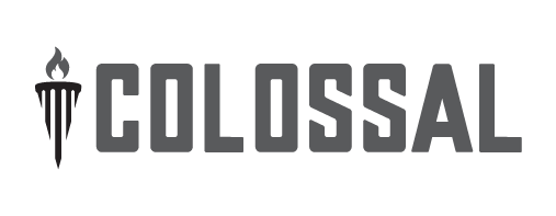 QXC-Partner Logo-Master-Website 152x63_Colossal