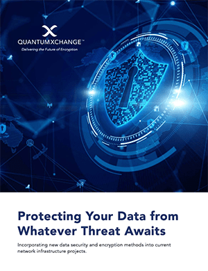 bug_ebook_protecting_data_threat