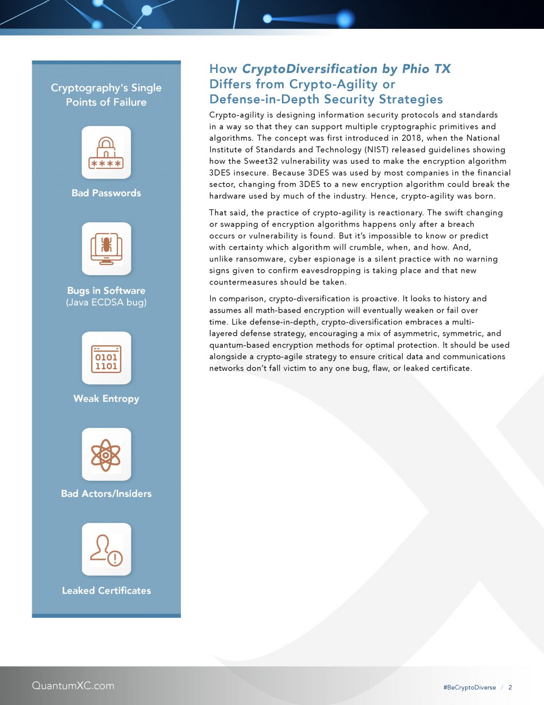 ds_QXC_crypto_diversification (1)_Page_2