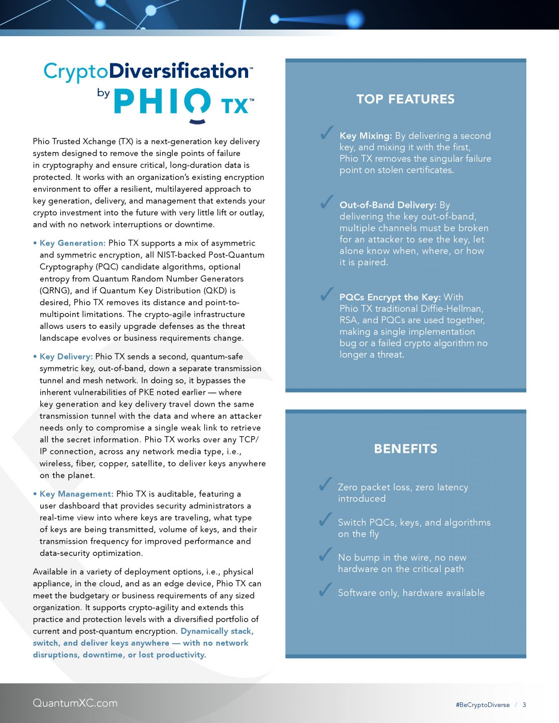 ds_QXC_crypto_diversification (1)_Page_3